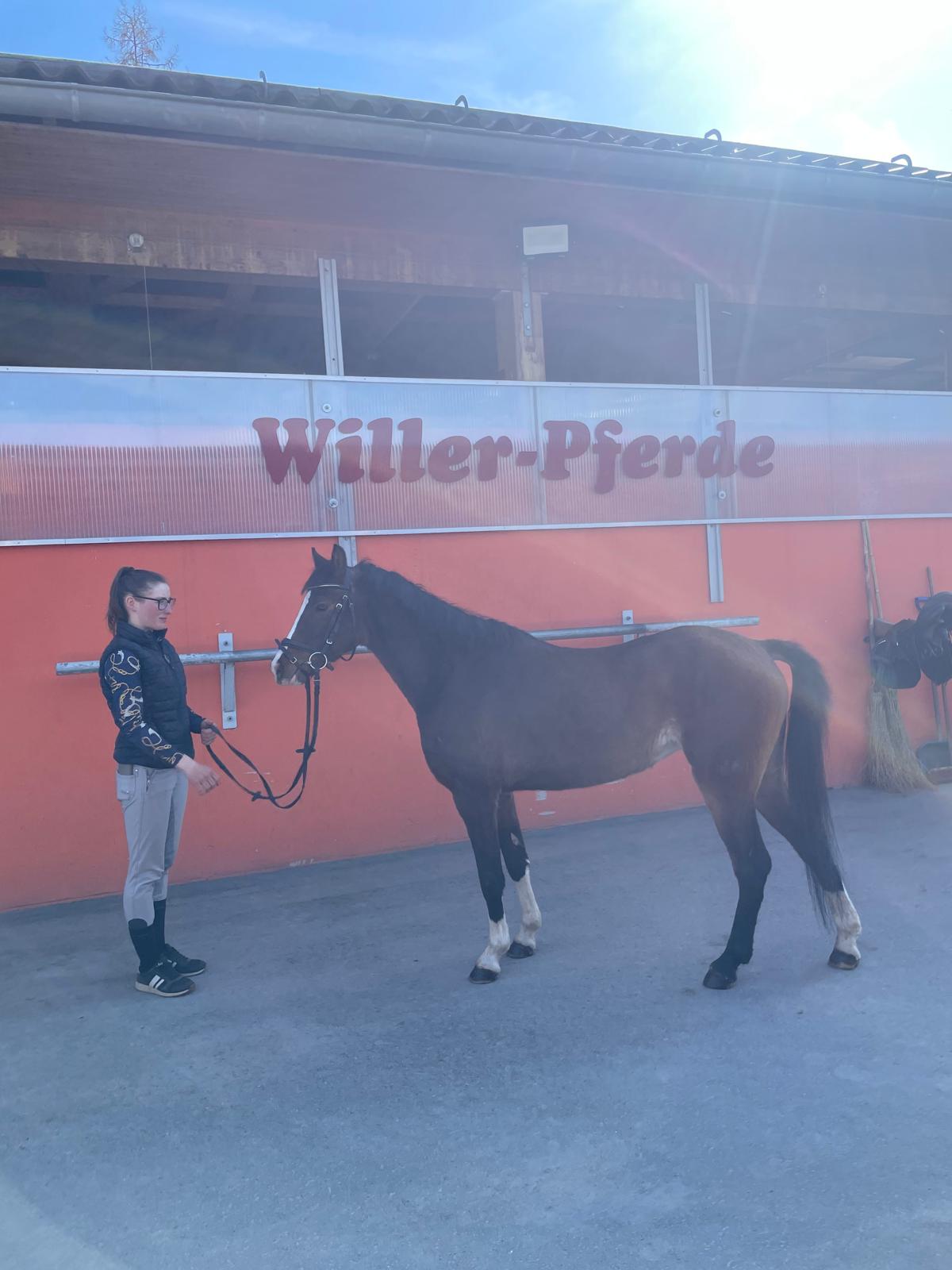 pony wiola