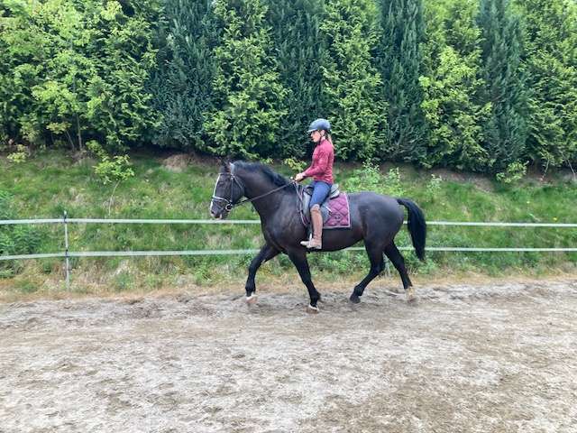rappe ekar