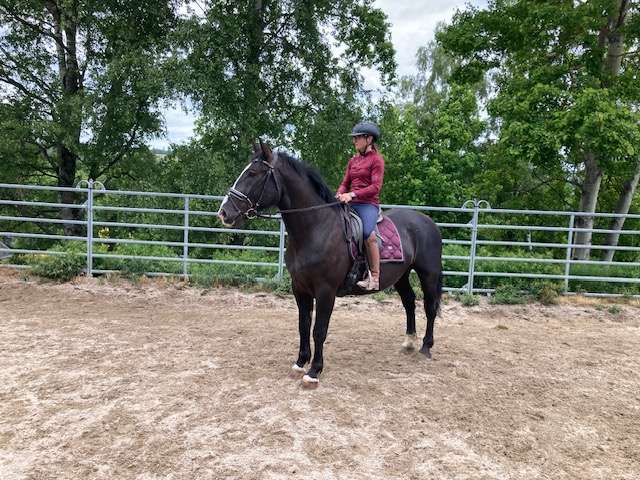 rappe wallach ekar