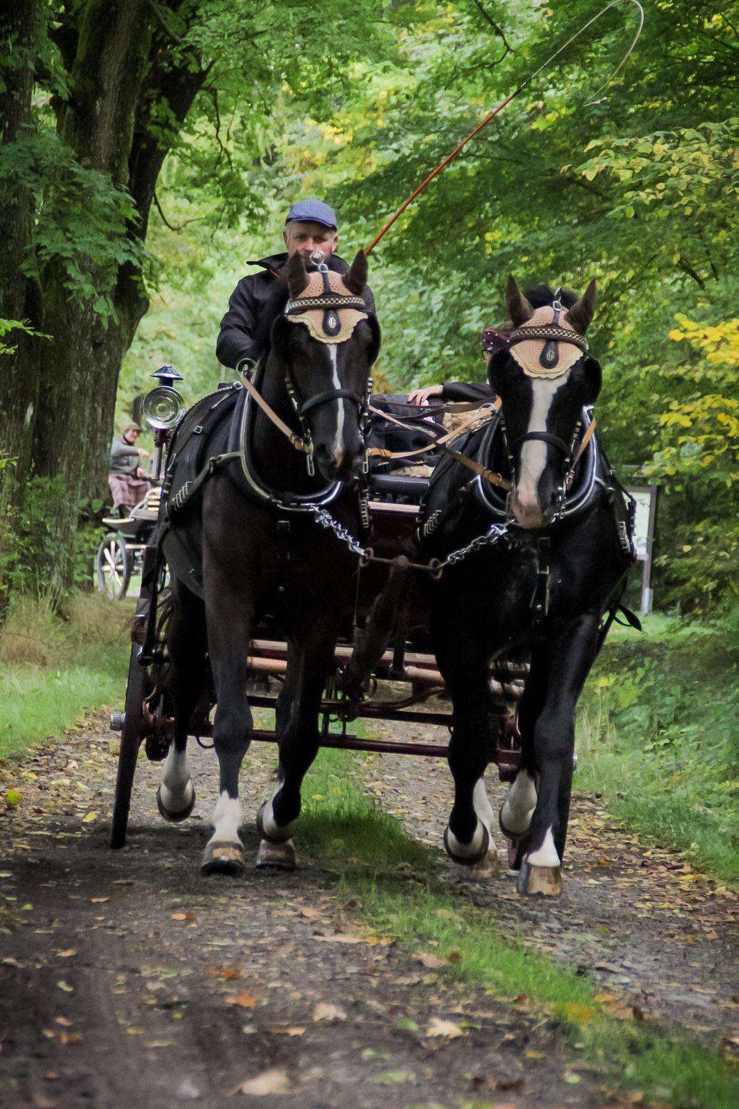 rappen rodos und aslan