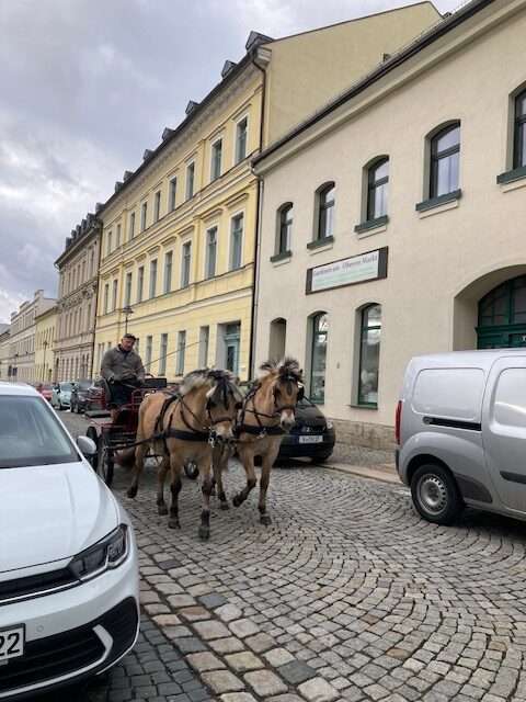 fjords solo und sania