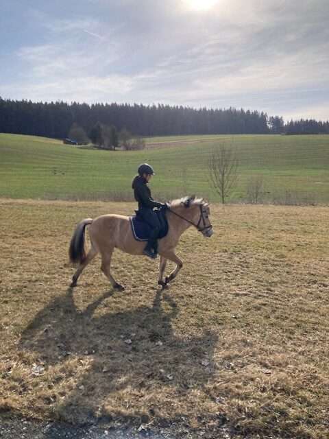 solo und sania fjords