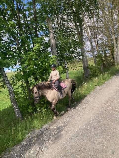 konik wallach komandos, konik wallach komandos,