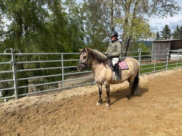 reitpony komandos reitpony komandos