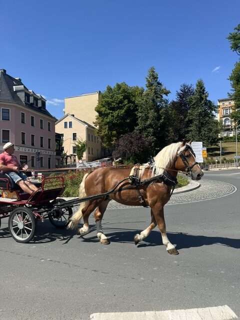 füchse veit und fidus füchse veit und fidus