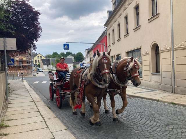 kaltblüter veit und fidus kaltblüter veit und fidus