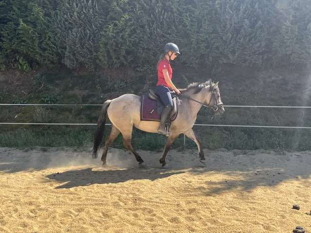 konik nasa konik nasa