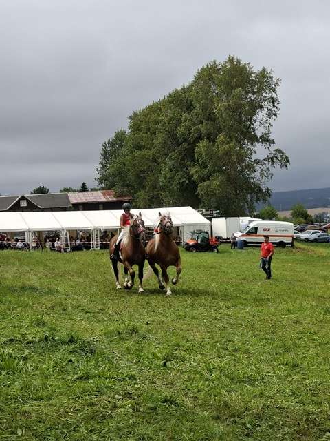 veit und fidus veit und fidus