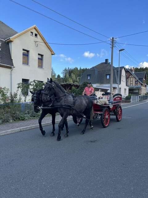 fahrpferd bil fahrpferd bil
