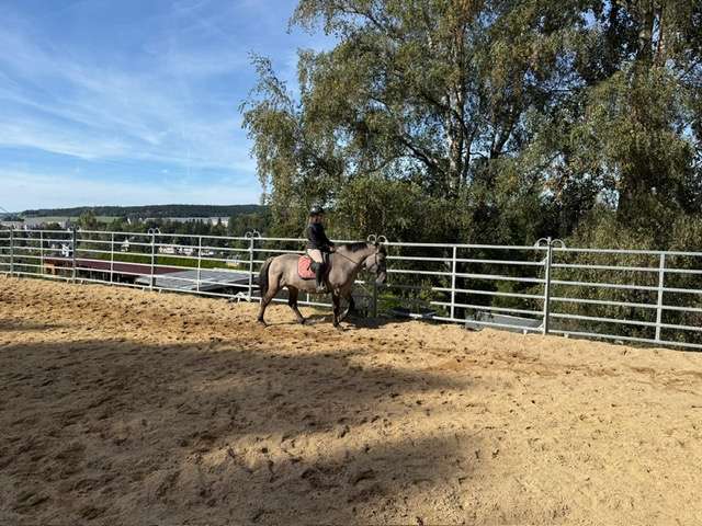 konik wallach nido konik wallach nido
